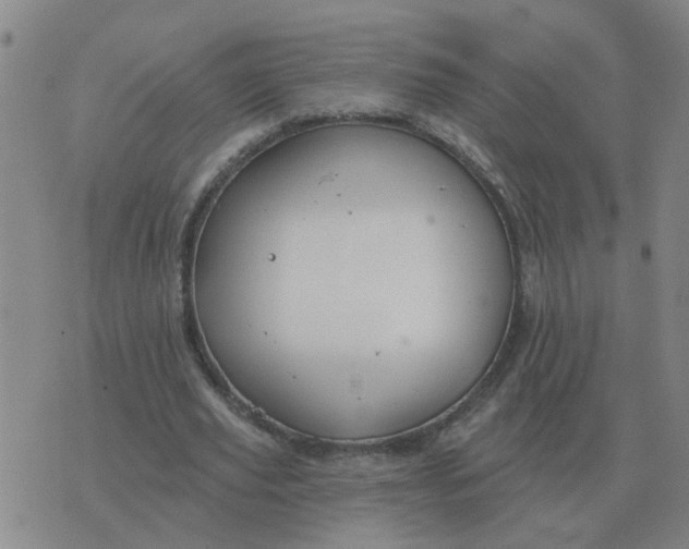 X0000074340629200609082058