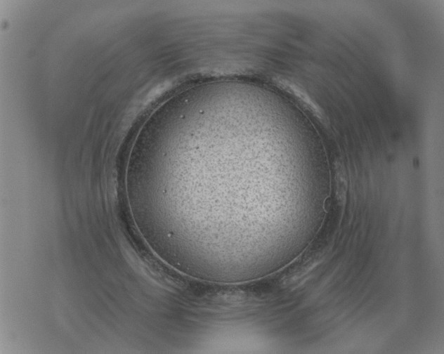 X0000074340631200609082058