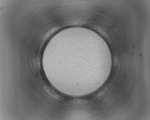 X0000074340632200609082058