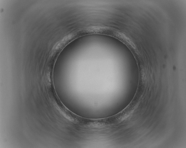 X0000074340633200609082058