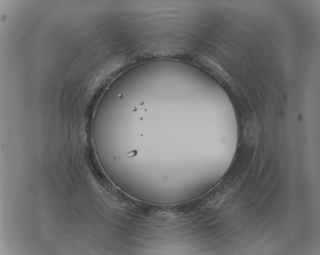 X0000074340635200609082058