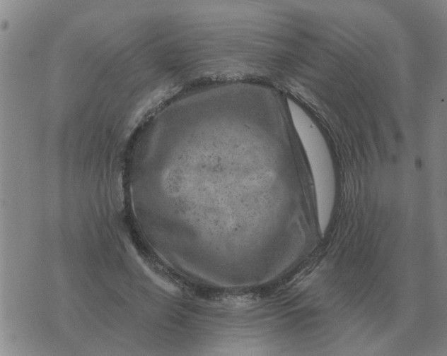 X0000074340638200609082058