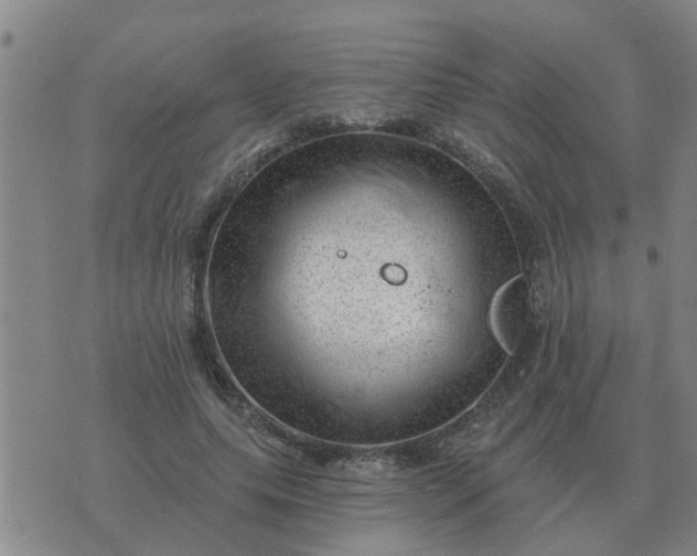 X0000074340639200609082058