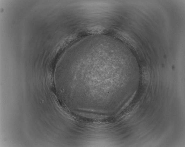 X0000074340641200609082058