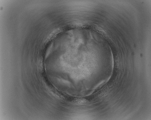 X0000074340642200609082058