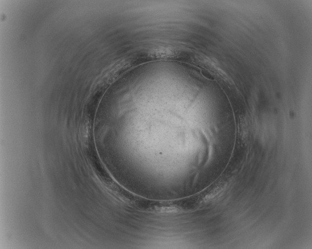 X0000074340645200609082058