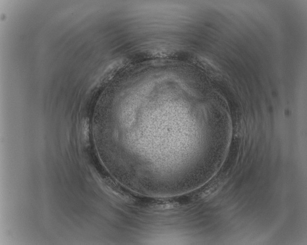 X0000074340646200609082058