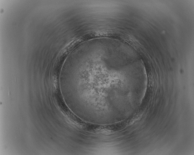 X0000074340648200609082058