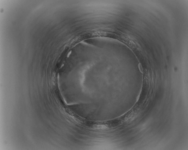 X0000074340649200609082058