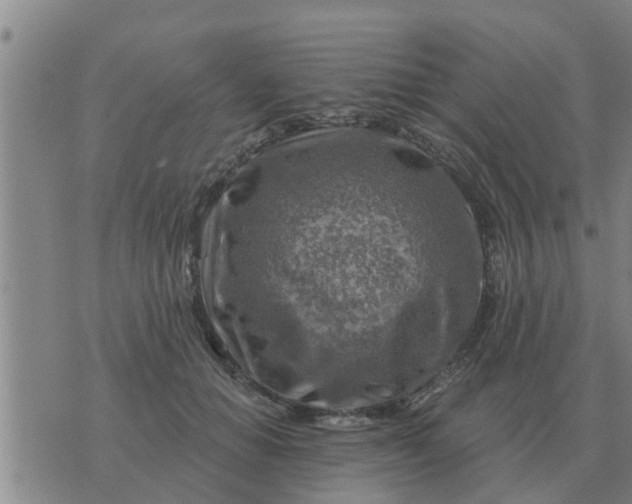 X0000074340654200609082058