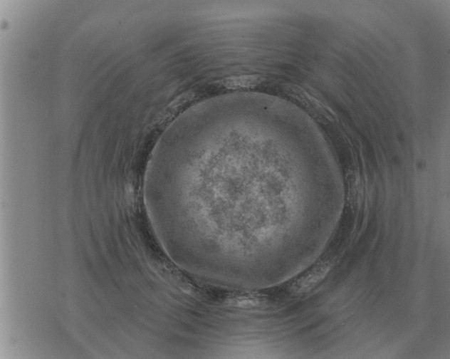 X0000074340655200609082058