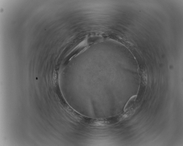 X0000074340657200609082058