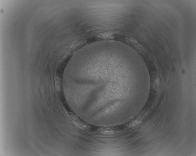 X0000074340658200609082058