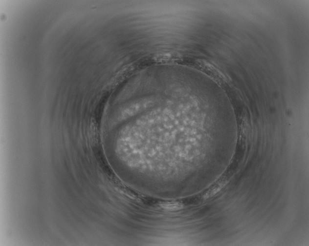 X0000074340659200609082058