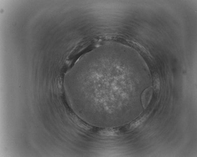 X0000074340661200609082058