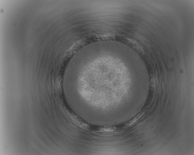 X0000074340662200609082058