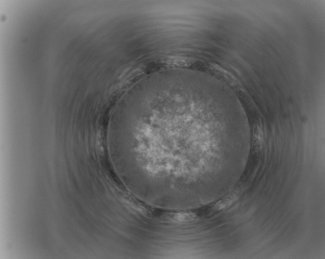 X0000074340663200609082058