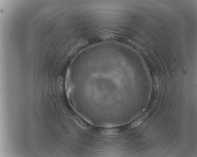 X0000074340664200609082058