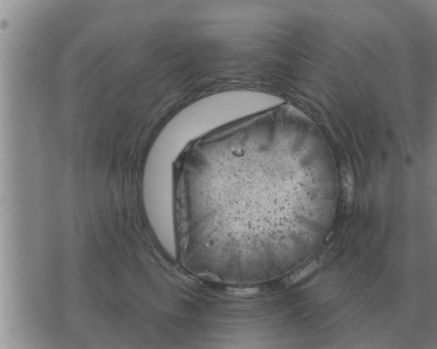 X0000074340665200609082058