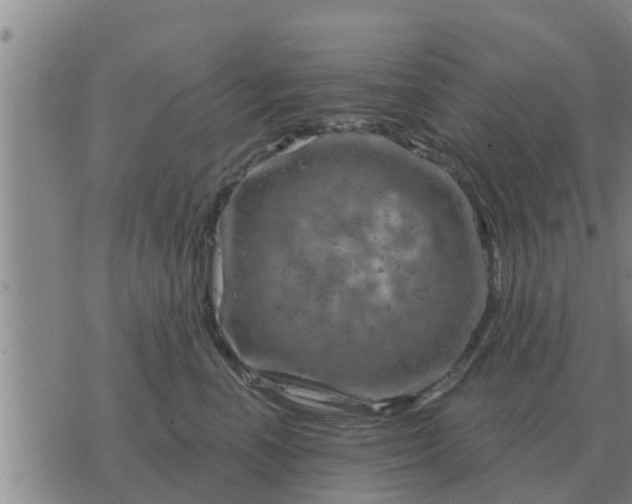 X0000074340666200609082058