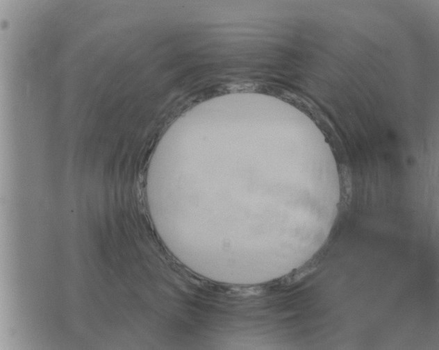 X0000074340667200609082058