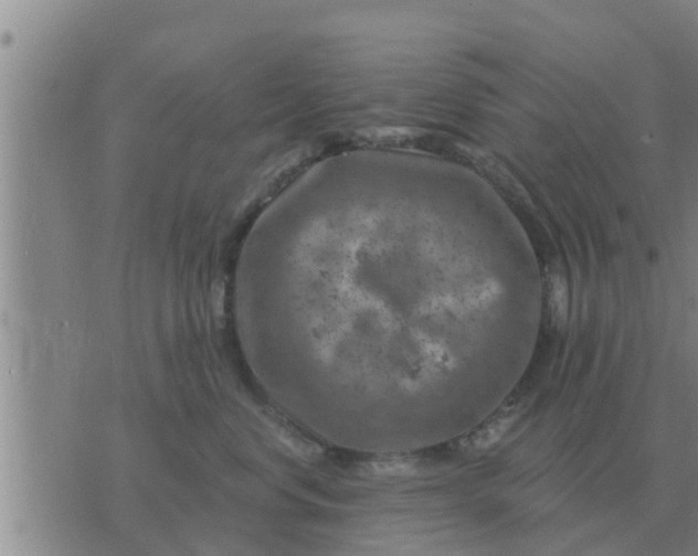 X0000074340668200609082058