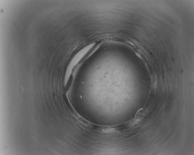 X0000074340669200609082058