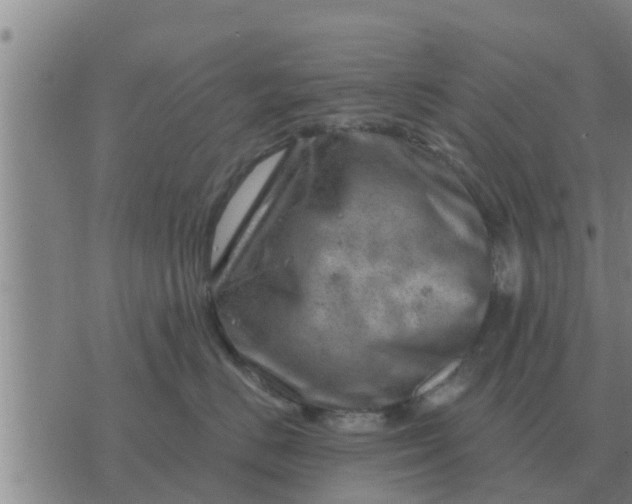 X0000074340670200609082058