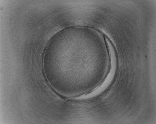 X0000074340673200609082058