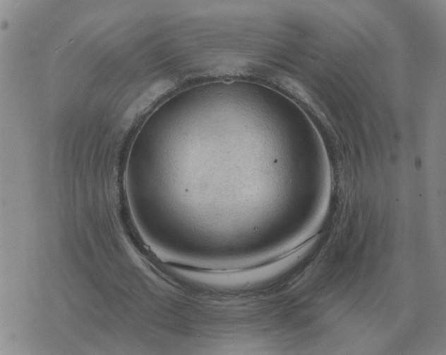 X0000074340677200609082058