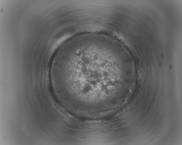 X0000074340679200609082058