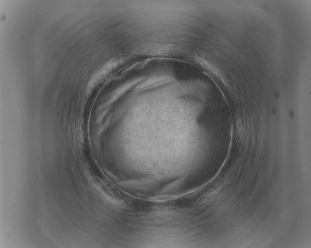 X0000074340682200609082058