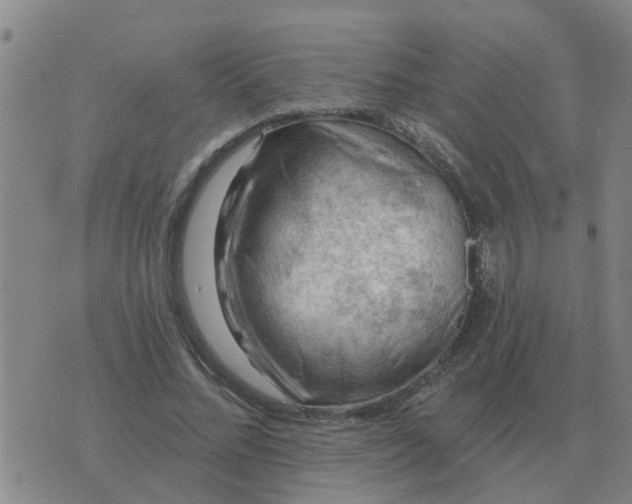 X0000074340684200609082058