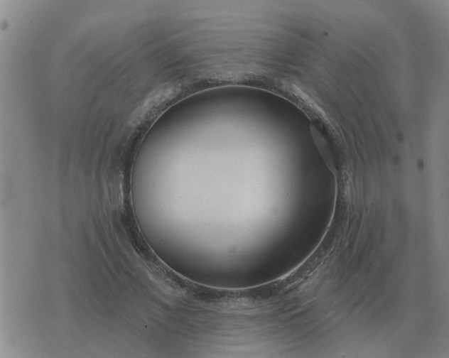 X0000074340685200609082057