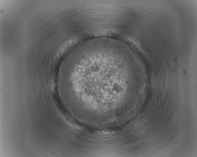 X0000074340687200609082057