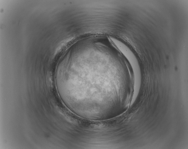 X0000074340688200609082057