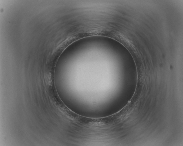 X0000074340689200609082057