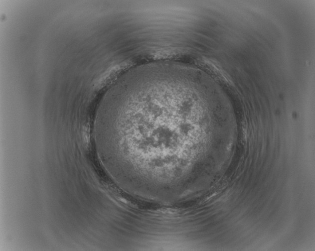 X0000074340691200609082057