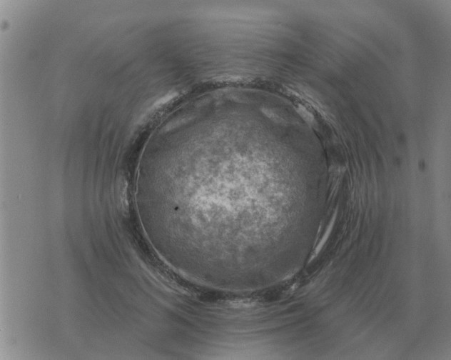 X0000074340692200609082057