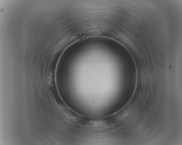 X0000074340693200609082057