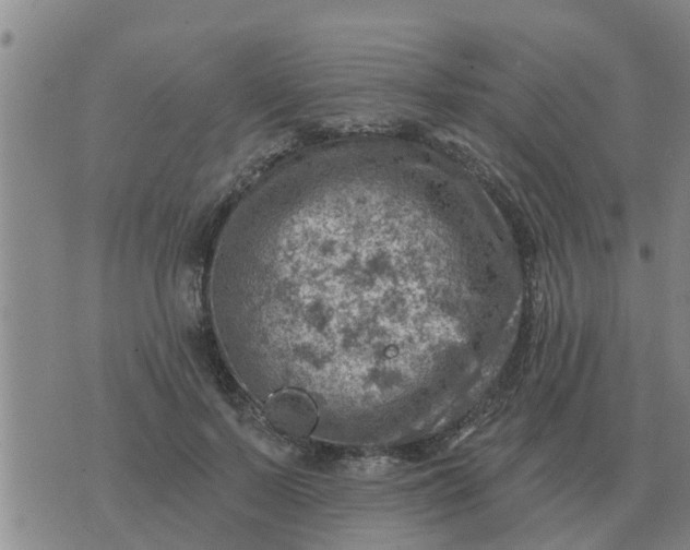 X0000074340695200609082057