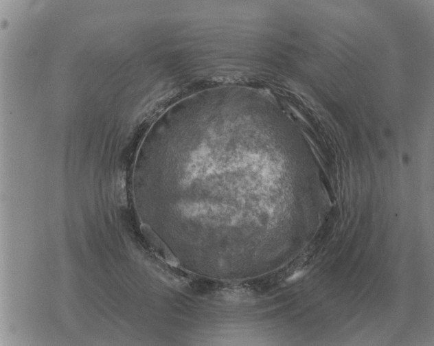 X0000074340696200609082057