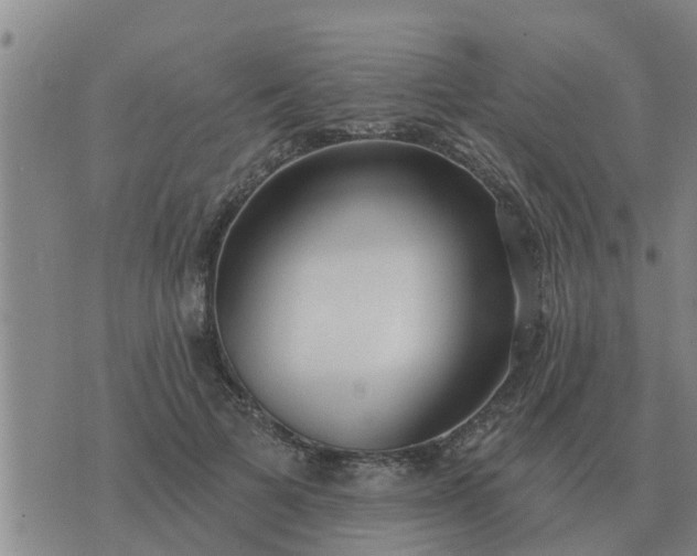 X0000074340697200609082057