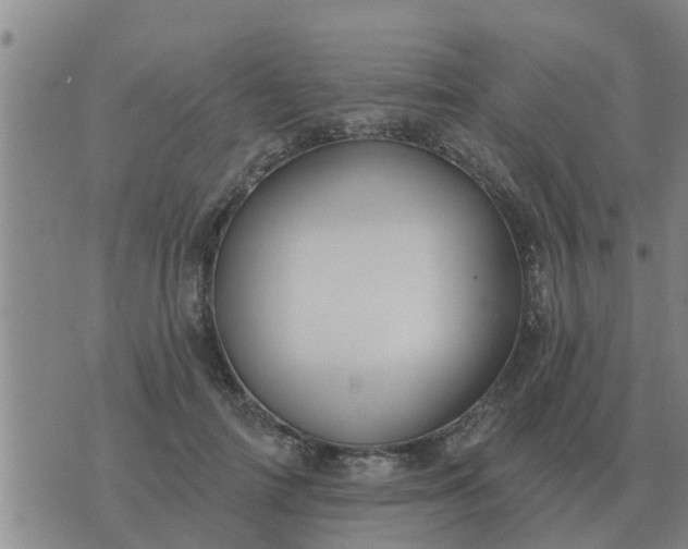 X0000074340698200609082057