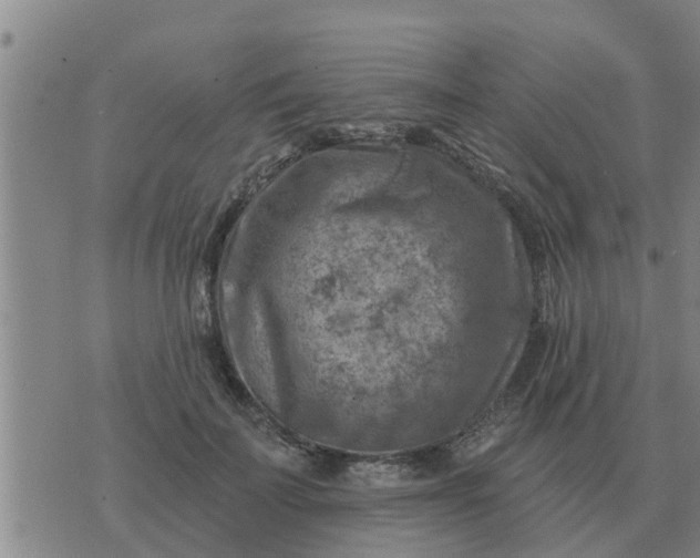 X0000074340699200609082057