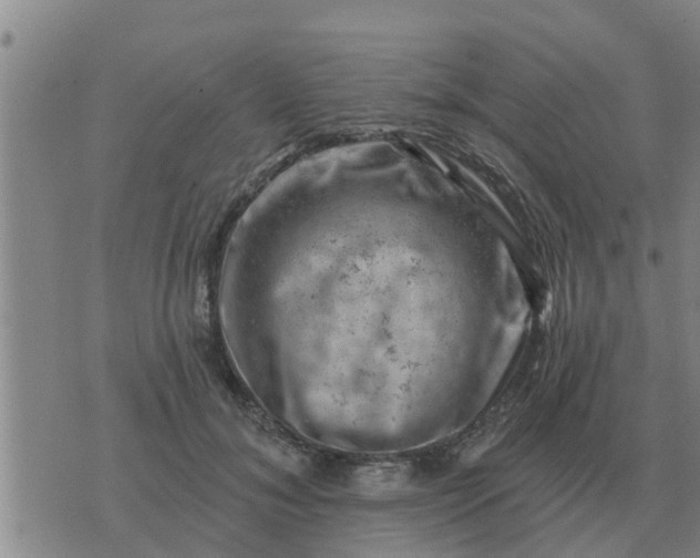 X0000074340700200609082057