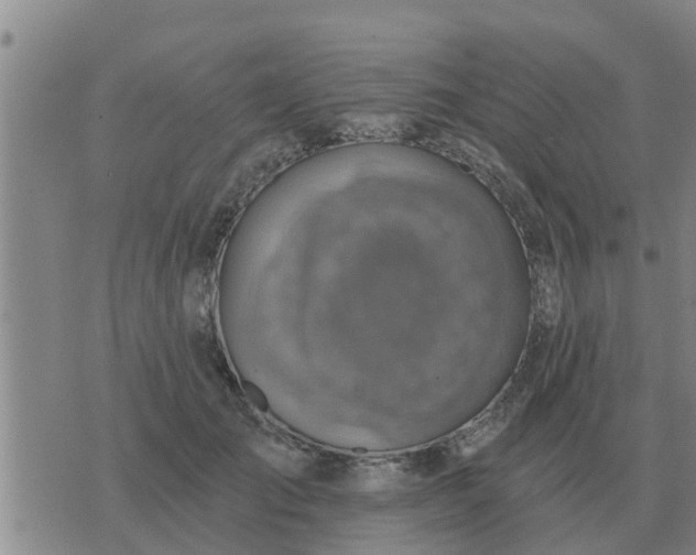 X0000074340701200609082057