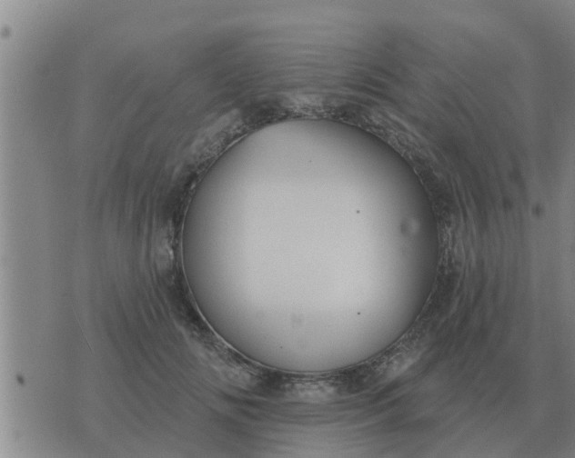 X0000074340702200609082057