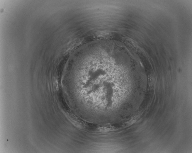 X0000074340703200609082057