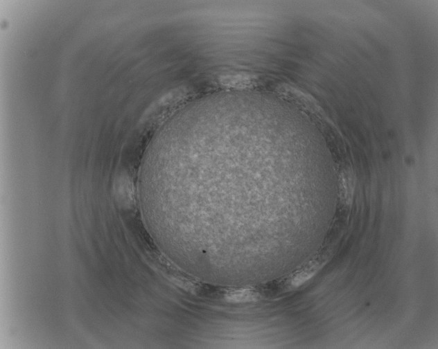 X0000074340705200609082057